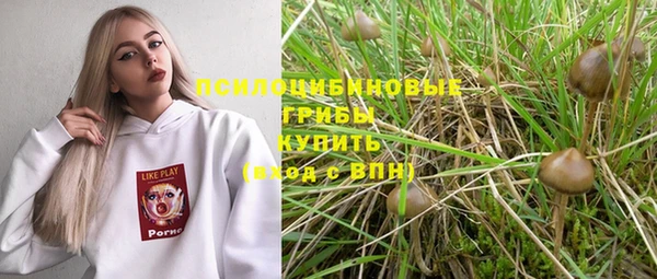 хмурый Волоколамск
