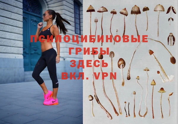 бутират Вязники