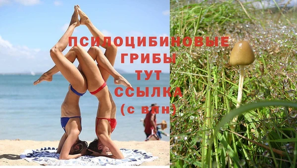 герыч Володарск
