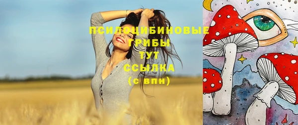 хмурый Волоколамск