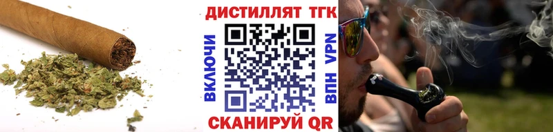 Купить где  Кудымкар  ТГК концентрат 