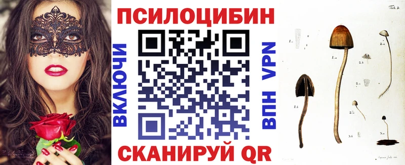 Купить закладки  Кудымкар  Галлюциногенные грибы Psilocybe 